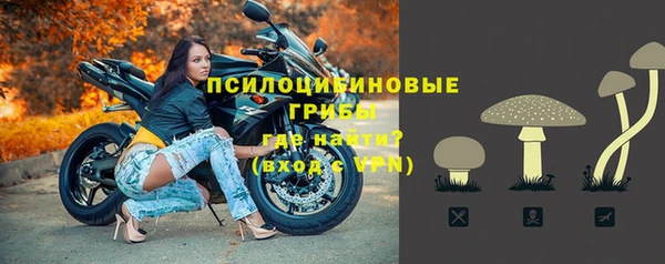 прущая мука Кукмор