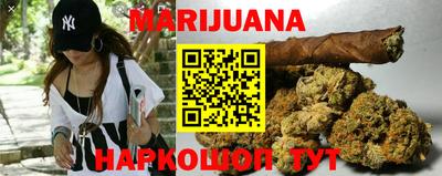 крисы Гагарин