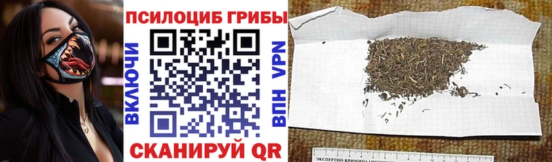 Галлюциногенные грибы GOLDEN TEACHER  Костомукша 