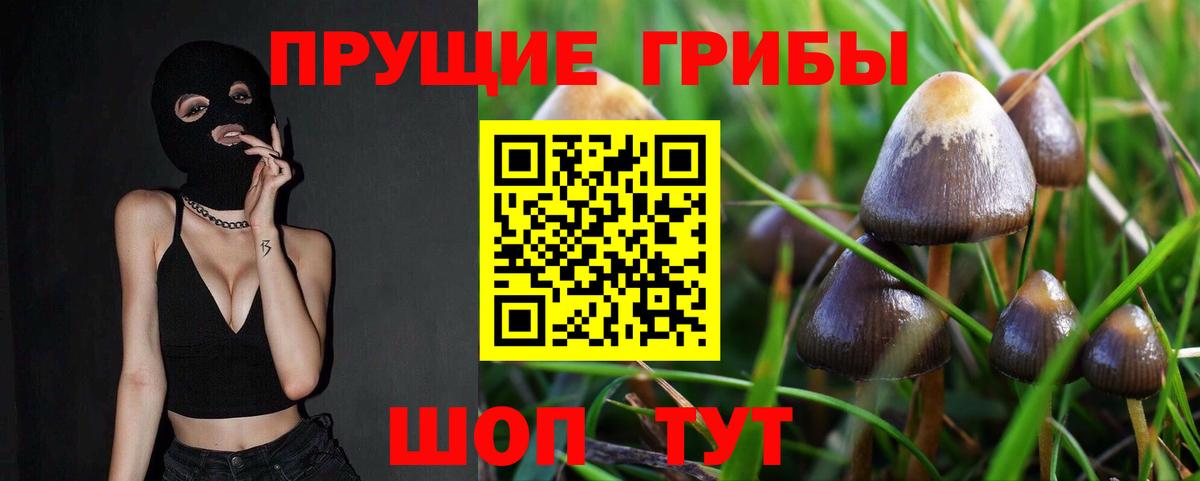 Галлюциногенные грибы MAGIC MUSHROOMS Костомукша
